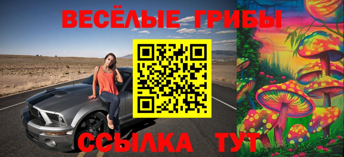 Псилоцибиновые грибы GOLDEN TEACHER Узловая