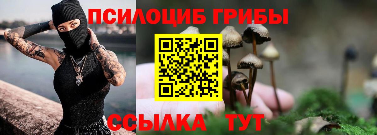 Узловая  Псилоцибиновые грибы Cubensis  Вход с VPN  Галлюциногенные грибы мицелий 
